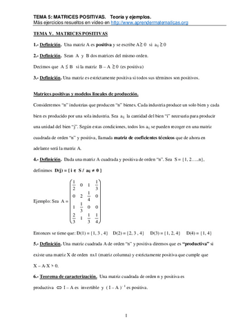 TEMA-V.-MATRICES-POSITIVAS-teoria-y-ejemplos.pdf