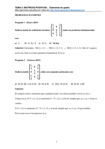 TEMA-V.-MATRICES-POSITIVASExamenes.pdf