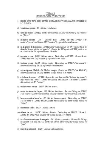 Morfologia-sintaxis-y-verbos.pdf