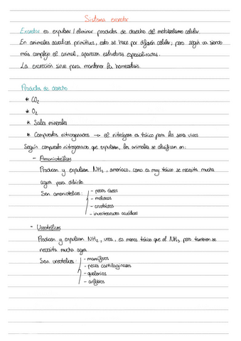 Sistema-excretor.pdf