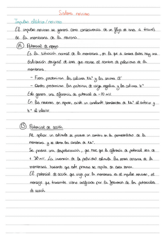 Sistema-nervioso.pdf