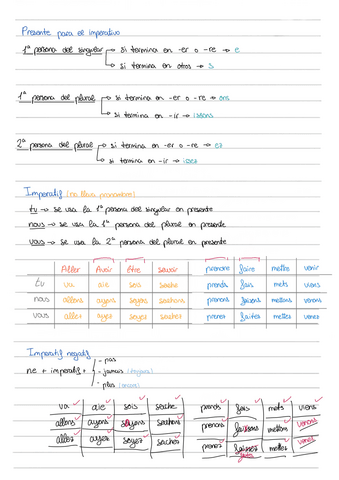 Gramatica-frances.pdf