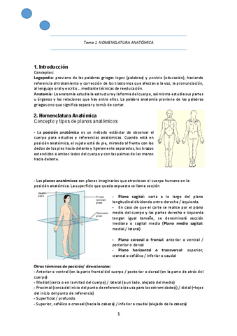 Temario de anatomía COMPLETO.pdf