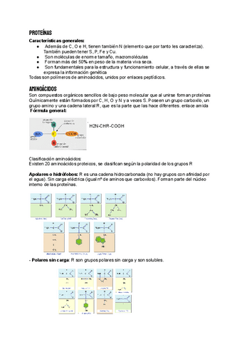 Tema-5-apuntes.pdf
