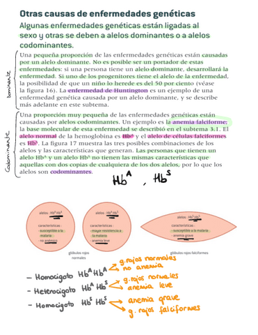 Herencia.pdf