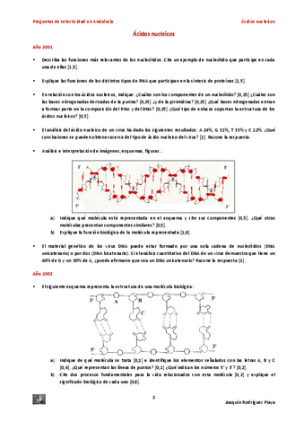 selectividadacnucleicos-1.pdf