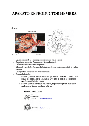 APARATO-REPRODUCTOR-HEMBRA.pdf