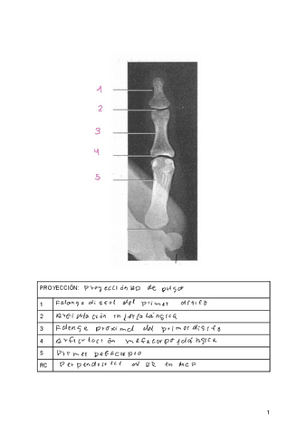 UT2-Actividad-1.pdf