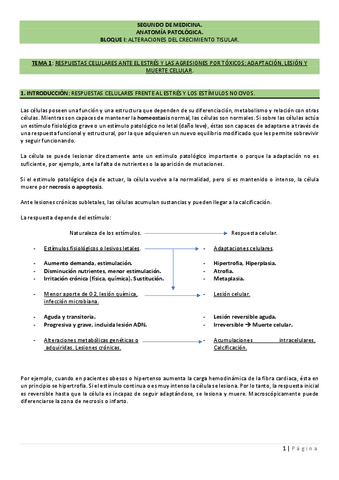 TEMA-1.pdf