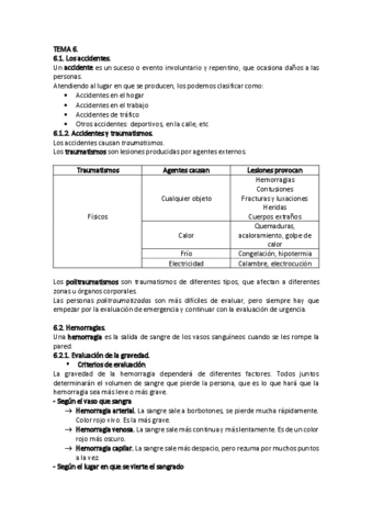 TEMA-6.pdf