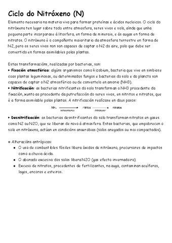Ciclo-do-Nitroxeno-N.pdf