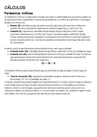 CALCULOS.pdf