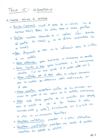 T-15.pdf