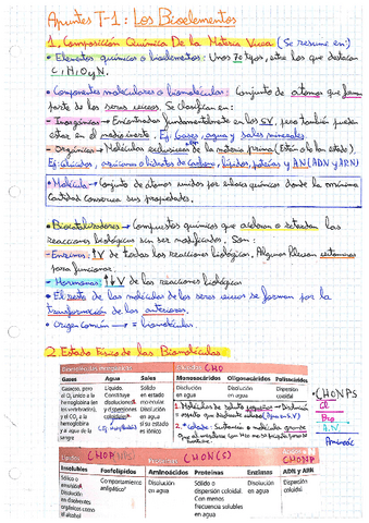 T-1.pdf