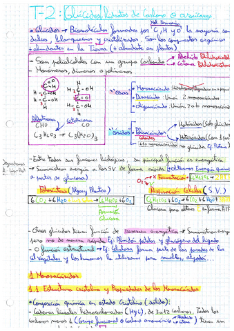 T-2.pdf