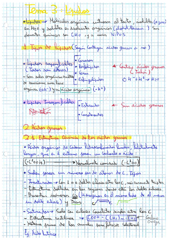 T-3.pdf