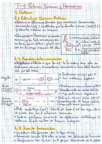 T-4.pdf
