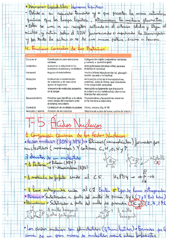 T-5.pdf