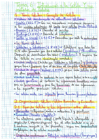 T-6.pdf