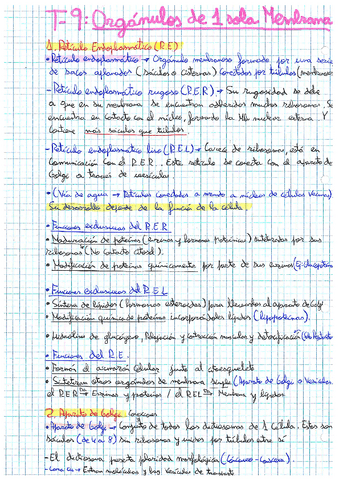 T-9.pdf