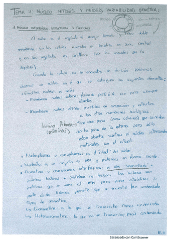 T-11.pdf