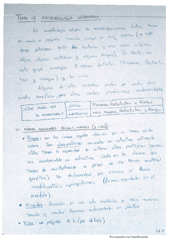 T-12.pdf