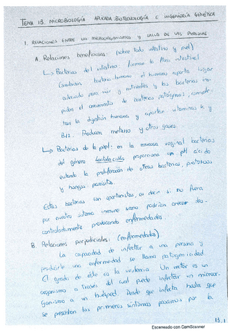 T-13.pdf