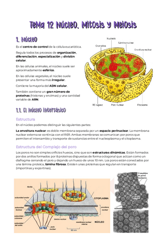 tema-12-biologia.pdf