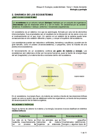 biologia-1bach-tema6.1.pdf