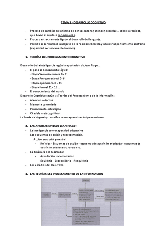 Tema3DesarrolloCognitivopdf.pdf