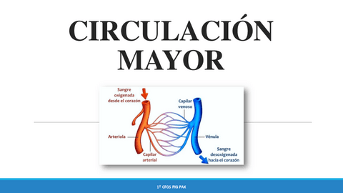 PAX-COMPLETA.pdf