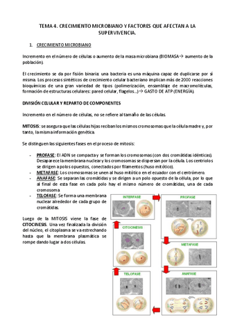 TEMA-4.-MICROBIOLOGIA..pdf