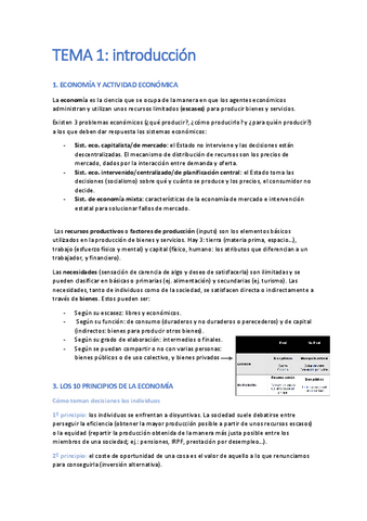 TEMA-1-y-2-introduccion.pdf