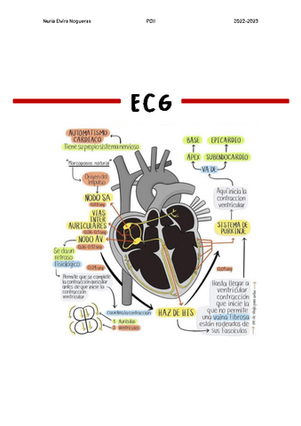 EKG-Tema-11.pdf