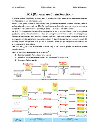 PCR-Polymerase-Chain-Reaction.pdf