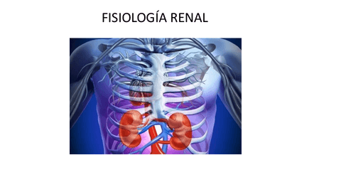 Fisiologia-RENAL.pdf