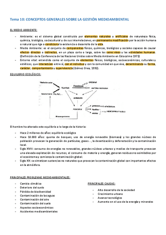 TEMAS-MEDIOAMBIENTAL-1.pdf