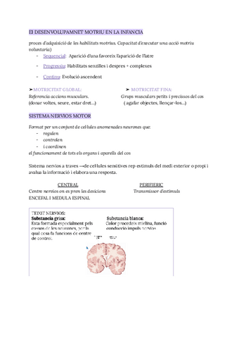 UF2.-NF-1-DESENVOLUPAMENT-MOTRIU.pdf