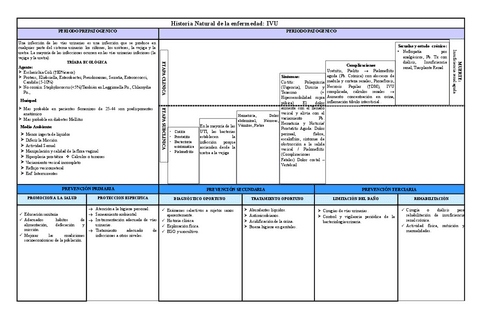 HISTORIA-NATURAL-DE-LA-ENFERMEDAD-DE-ivu.pdf