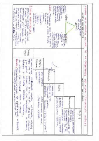 ESQUEMA-DE-LA-HISTORIA-NATURAL-DE-LA-ENFERMEDAD.pdf