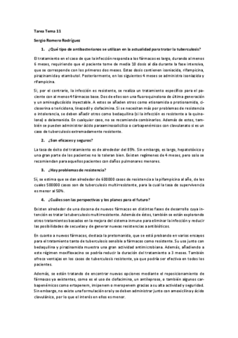 Tarea-Tema-11-Sergio-Romero-Rodriguez.pdf