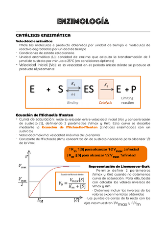 TEMA-1.pdf