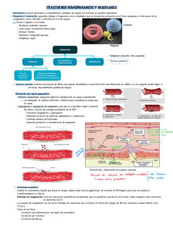 Trastornos-Hemodinamicos.pdf