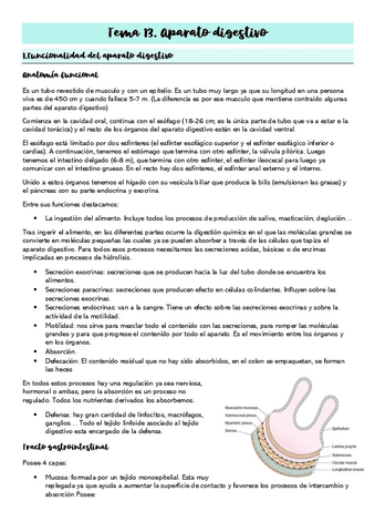 Tema-13.Aparato-digestivo.pdf