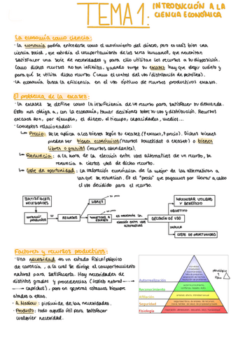 T1Introduccioneconomia.pdf