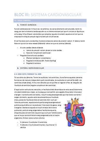 BLOC-III-cardiac-respiratori-renal.pdf