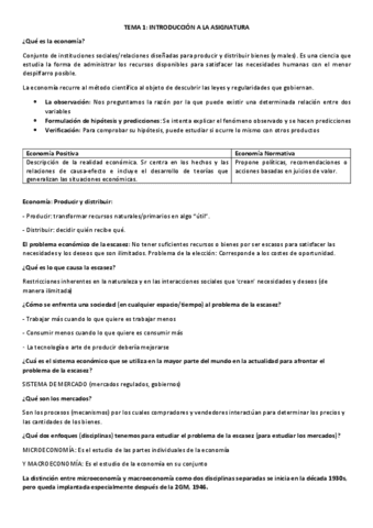TEMA-1-MACRO.pdf