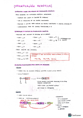 FORMULACION-ORGANICA.pdf