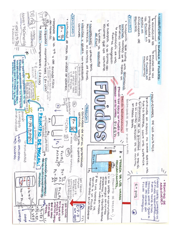 TEMA-1-fluidos.pdf