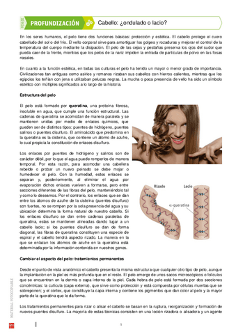 pelo-liso-o-rizado.pdf